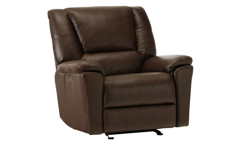 Perfect Match Plush Leather Power Recliner